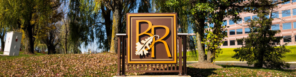 Burr Ridge Counseling Services